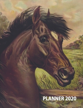 2020 Planner: Horse Lovers Weekly & Monthly Planner 2020 |  One Year Planner Calendar Views | Organiser Present for Horse Lovers, Equestrian Gift