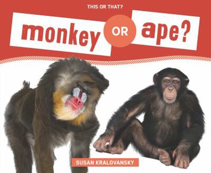 Library Binding Monkey or Ape? Book