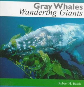 Paperback Gray Whales, Wandering Giants Book