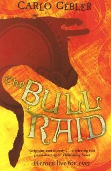 Paperback The Bull Raid Book