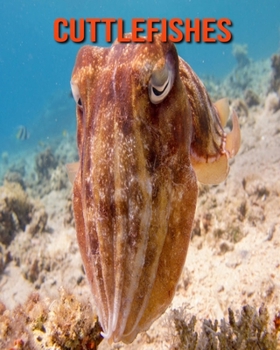 Paperback Cuttlefishes: Beautiful Pictures & Interesting Facts Children Book About Cuttlefishes Book