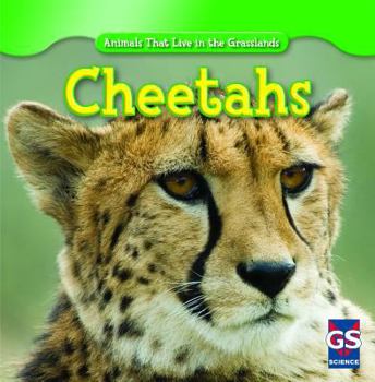 Library Binding Cheetahs Book