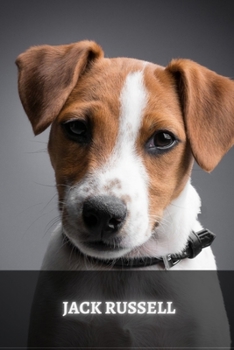 Paperback Jack Russell: The Complete Breed Guide Book