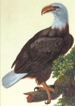 Carnet Ligna(c), Vautour