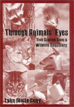 Paperback Through Animals' Eyes: True Stories from a Wildlife Sanctuary Book