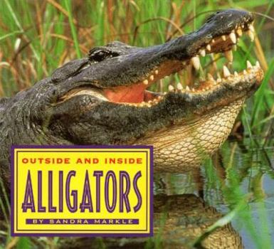 Hardcover Outside and Inside Alligators Book