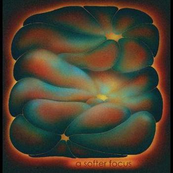 Vinyl A Softer Focus Book