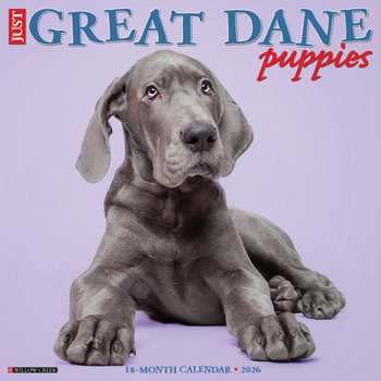 Calendar Great Dane Puppies 2026 12 X 12 Wall Calendar Book