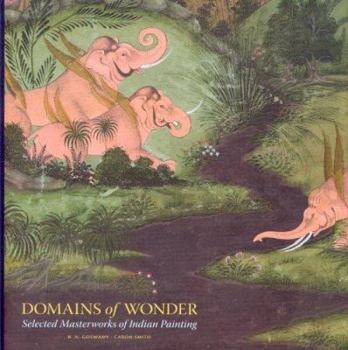 Hardcover Domains of Wonder: Selected Masterworks of Indian Painting Book