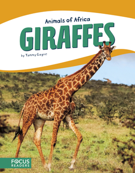 Paperback Giraffes Book