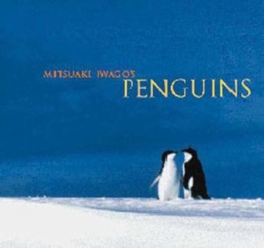Paperback Mitsuaki Iwago's Penguins Book