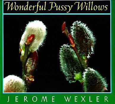 Hardcover Wonderful Pussy Willows Book