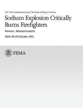 Paperback Sodium Explosion Critically Burns Firefighters: Newton, Massachusetts Book