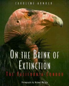 Hardcover On the Brink of Extinction: The California Condor Book