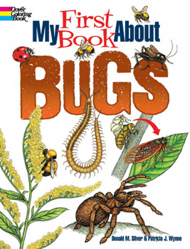 Paperback My First Book about Bugs Book