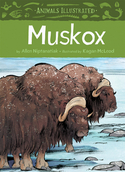 Hardcover Animals Illustrated: Muskox Book