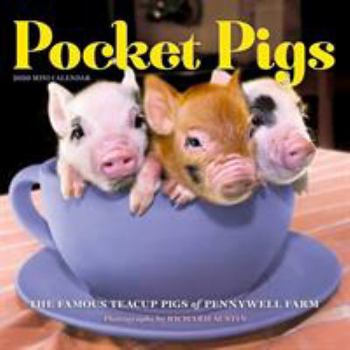 Calendar Pocket Pigs Mini Wall Calendar 2020 Book