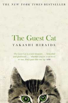 Paperback Guest Cat Book
