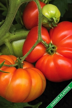 Garden Planner: Ripe tomatoes. Format A5, 120 pages, fine grey lined. Journal, diary, notebook and garden planner for everything that happens in the garden throughout the year.