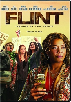 DVD Flint Book