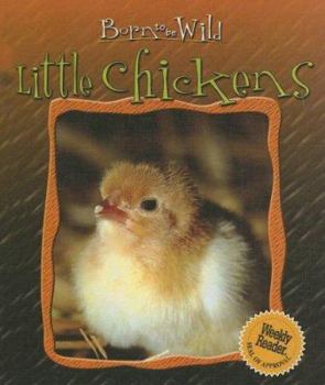 Little Chickens (Born to Be Wild) - Book  of the Born to be Wild