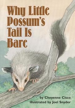Paperback Why Little Possum's Tail Is Bare Book