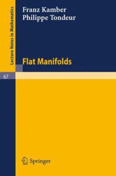 Paperback Flat Manifolds Book