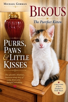 Purrs, Paws & Little Kisses: Bisous - The Purrfect Kitten