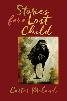 Paperback Stories for a Lost Child Book
