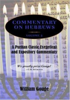 Hardcover Commentary on Hebrews: Exegetical and Expository - Vol. 2 (8-13) Book