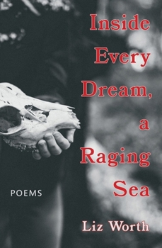 Paperback Inside Every Dream, a Raging Sea Book