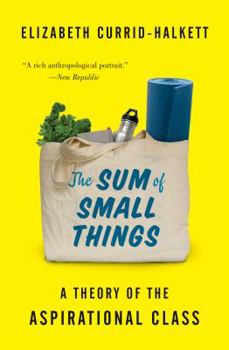 Paperback The Sum of Small Things: A Theory of the Aspirational Class Book