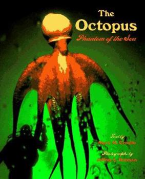 Hardcover The Octopus: Phantom of the Sea Book