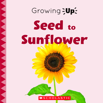 Paperback Seed to Sunflower (Growing Up) (Paperback) Book