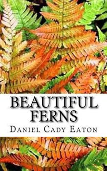 Beautiful Ferns