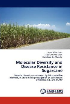 Molecular Diversity and Disease Resistance in Sugarcane: Genetic diversity assessment by Microsatellite markers, in vitro micro propagation of Saccharum officinarum L. and SCMV