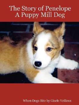 The Story of Penelope, A Puppy Mill Dog - When Dogs Bite