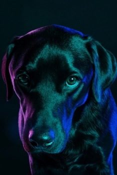 Labrador Retriever Dog Pup Puppy Doggie Notebook Bullet Journal Diary Composition Book Notepad - Night Light: Cute Animal Pet Owner Composition Book ... Quad Ruled Graph Paper Pages in 6” x 9” Inch