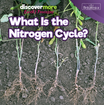 Paperback What Is the Nitrogen Cycle? Book