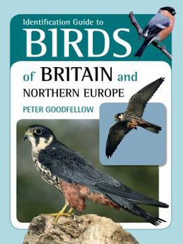 Paperback Identification Guide to Birds of Britain & Northern Europe Book