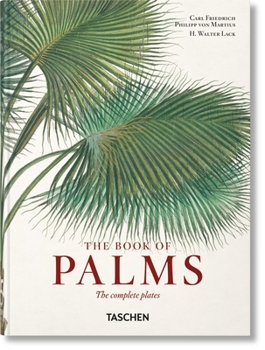 Martius: The Book of Palms