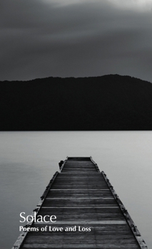 Paperback Solace Book