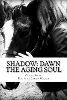 Shadow: Dawn (Shadow Series) (Volume 2) - Book #2 of the Shadow