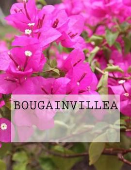 Paperback Bougainvillea Book