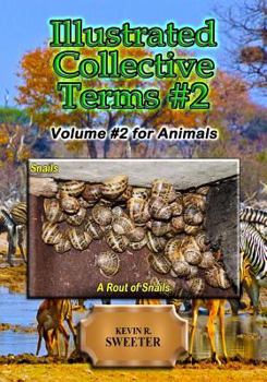 Paperback Illustrated Collective Terms #2: Volume #2 for Animals Book