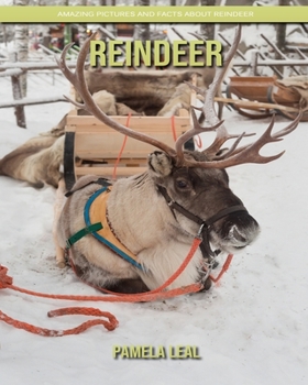 Paperback Reindeer: Amazing Pictures and Facts about Reindeer Book