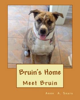 Paperback Bruin's Home: Meet Bruin Book