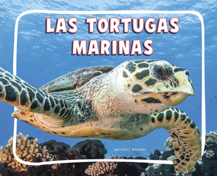 Paperback Las Tortugas Marinas [Spanish] Book