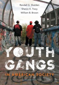Paperback Youth Gangs in American Society Book