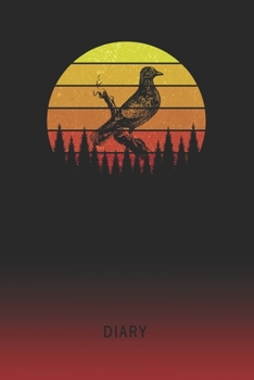 Diary: Blank Bird Watching Personal Writing Memoir Old School Retro Vintage Sunset 80s Cover Daily Journaling for Writers & Journalists Productivity Note Taking Logbook Plan, Set Goals & Write about y